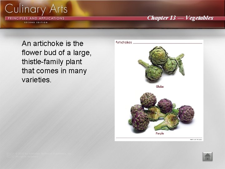 Chapter 13 — Vegetables An artichoke is the flower bud of a large, thistle-family