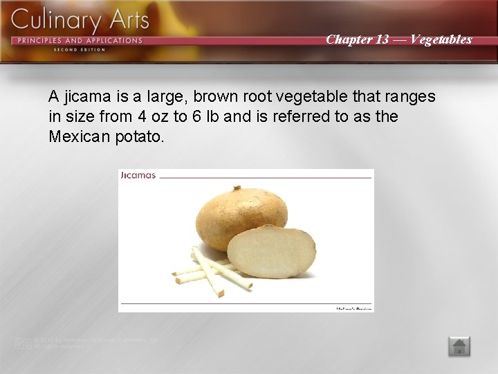 Chapter 13 — Vegetables A jicama is a large, brown root vegetable that ranges