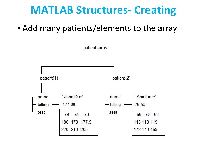 MATLAB Structures- Creating • Add many patients/elements to the array 