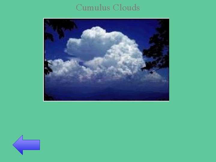 Cumulus Clouds 