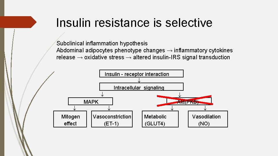 Insulin resistance is selective Subclinical inflammation hypothesis Abdominal adipocytes phenotype changes → inflammatory cytokines