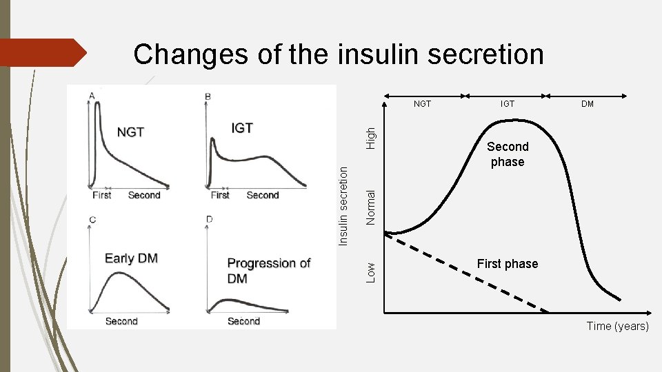 Changes of the insulin secretion IGT DM Second phase N o rma l Low