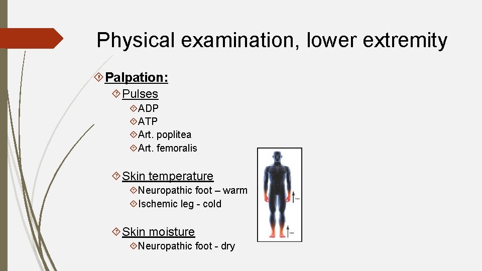 Physical examination, lower extremity Palpation: Pulses ADP ATP Art. poplitea Art. femoralis Skin temperature