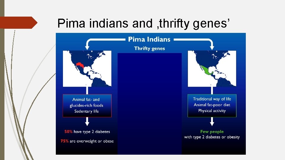 Pima indians and ‚thrifty genes’ 