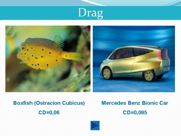 Drag Boxfish (Ostracion Cubicus) Mercedes Benz Bionic Car CD=0, 06 CD=0, 095 