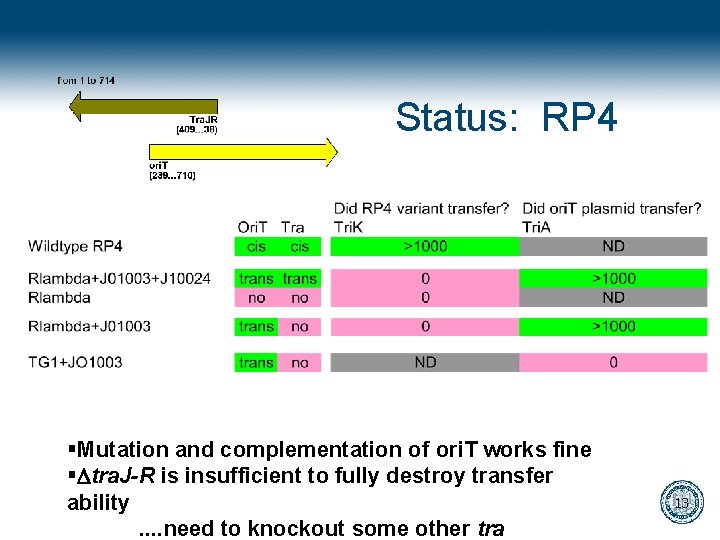 Status: RP 4 §Mutation and complementation of ori. T works fine §Dtra. J-R is