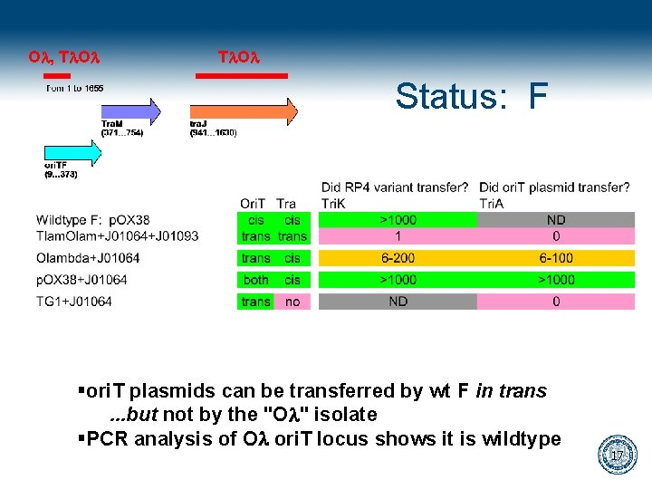 Ol, Tl. Ol Status: F §ori. T plasmids can be transferred by wt F