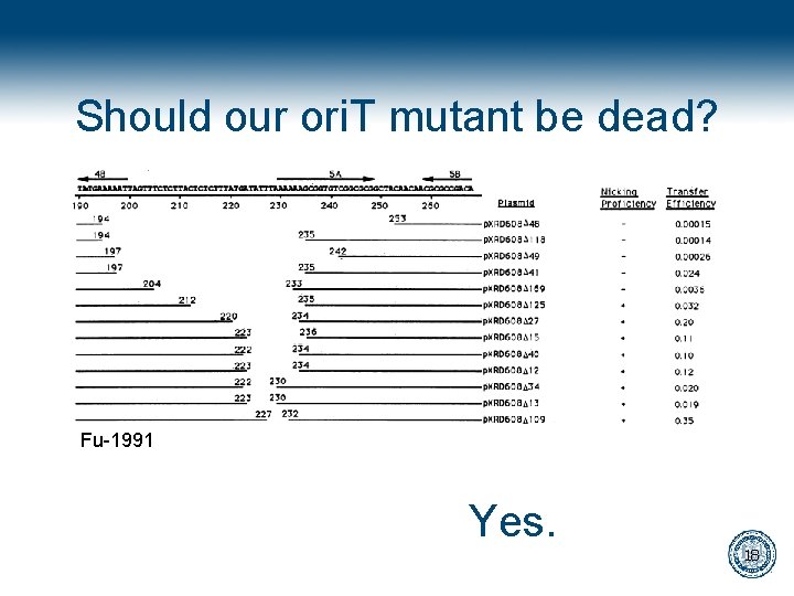 Should our ori. T mutant be dead? Fu-1991 Yes. 18 