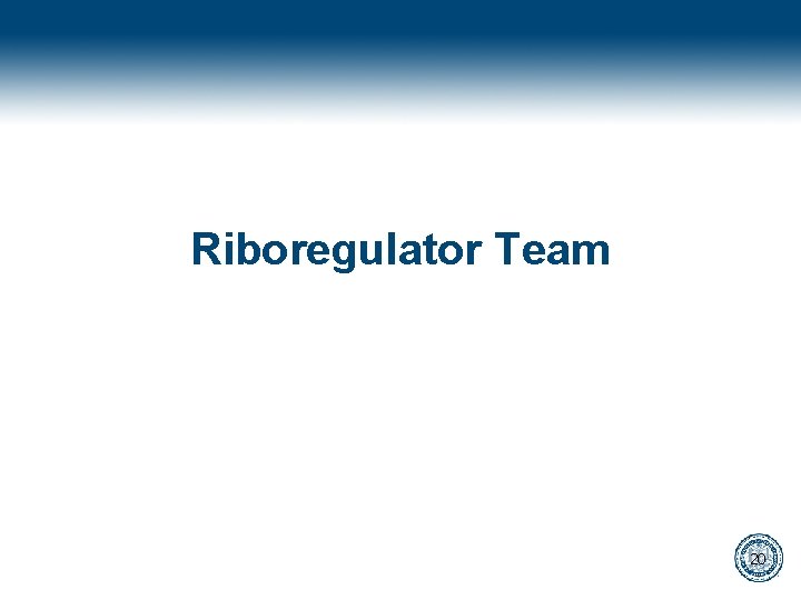 Riboregulator Team 20 