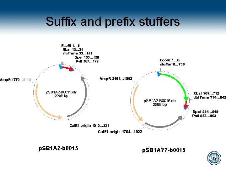 Suffix and prefix stuffers p. SB 1 A 2 -b 0015 p. SB 1