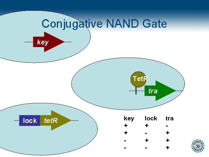 Conjugative NAND Gate key Tet. R tra lock tet. R key + + -