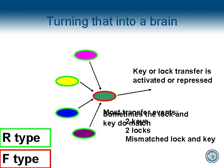 Turning that into a brain Key or lock transfer is activated or repressed R