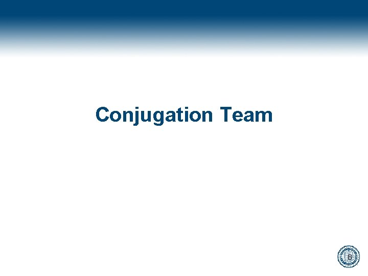 Conjugation Team 8 