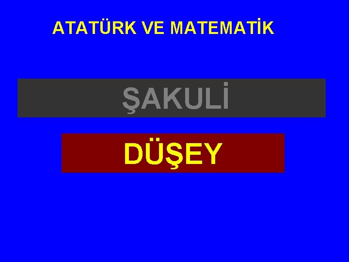 ATATÜRK VE MATEMATİK ŞAKULİ DÜŞEY 