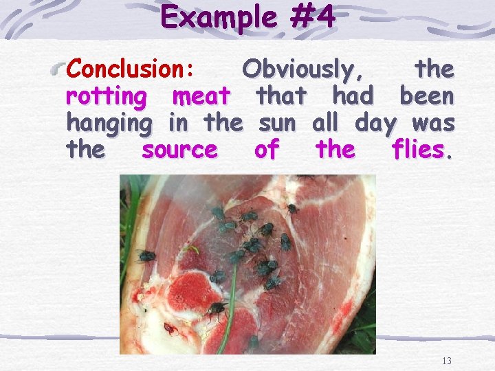 Example #4 Conclusion: Obviously, the rotting meat that had been hanging in the sun