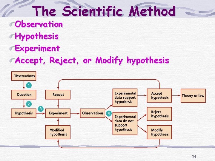 The Scientific Method Observation Hypothesis Experiment Accept, Reject, or Modify hypothesis 24 