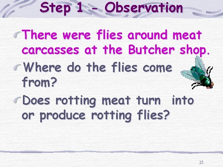 Step 1 - Observation There were flies around meat carcasses at the Butcher shop.