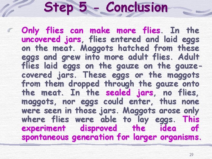 Step 5 - Conclusion Only flies can make more flies. In the uncovered jars,