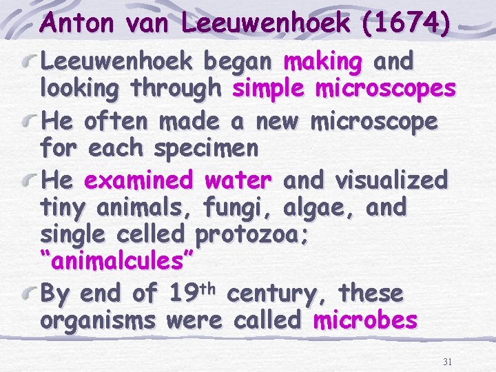 Anton van Leeuwenhoek (1674) Leeuwenhoek began making and looking through simple microscopes He often