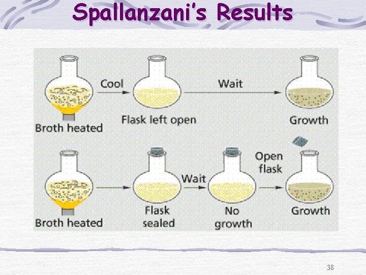 Spallanzani’s Results 38 