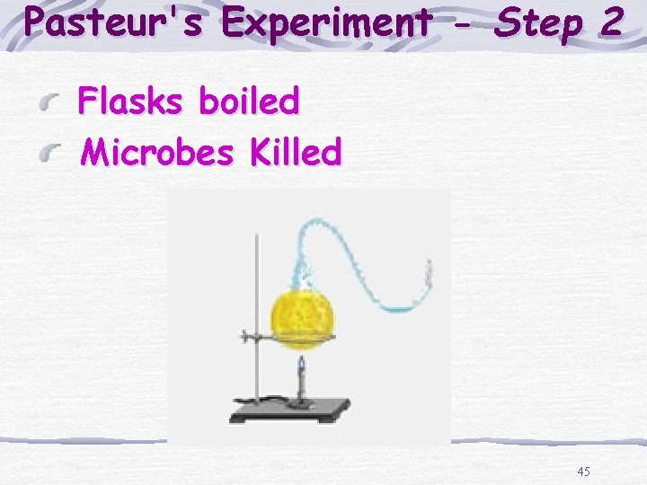 Pasteur's Experiment - Step 2 Flasks boiled Microbes Killed 45 
