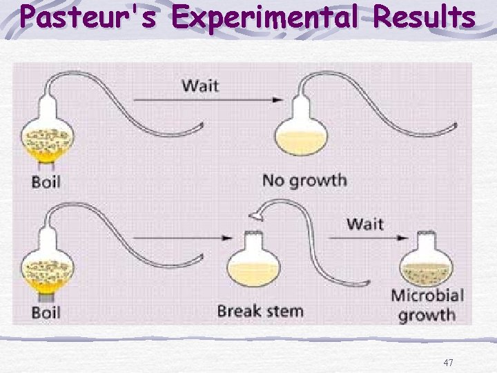 Pasteur's Experimental Results 47 