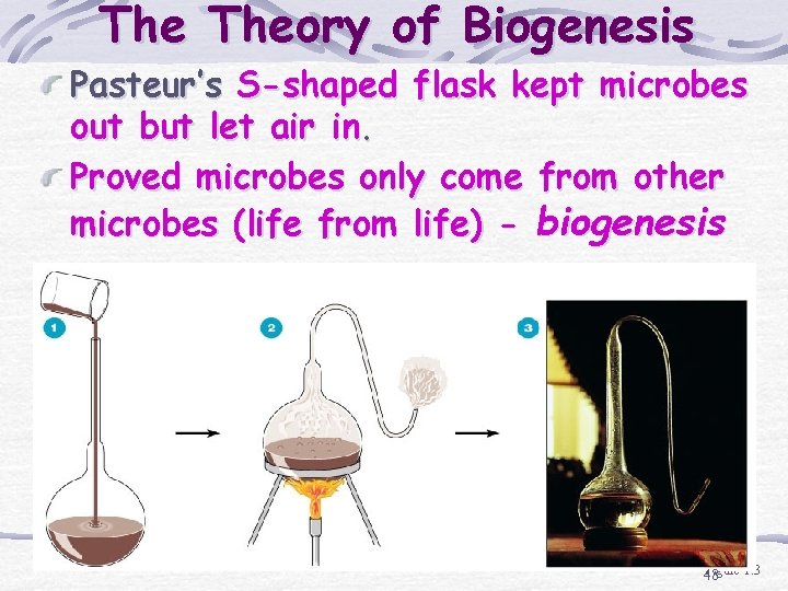 The Theory of Biogenesis Pasteur’s S-shaped flask kept microbes out but let air in.