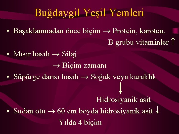 Buğdaygil Yeşil Yemleri • Başaklanmadan önce biçim Protein, karoten, B grubu vitaminler • Mısır