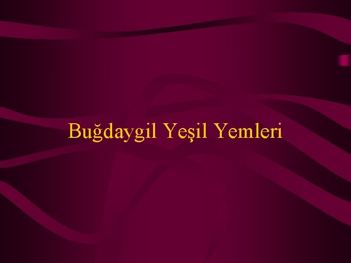 Buğdaygil Yeşil Yemleri 