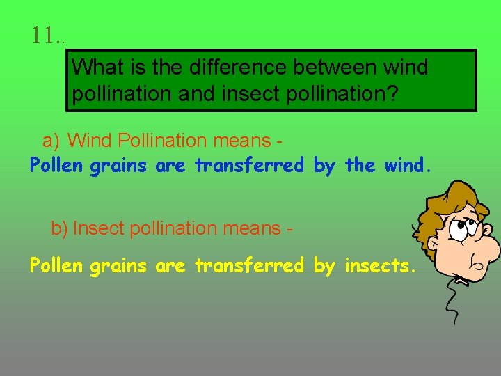 11. . What is the difference between wind pollination and insect pollination? a) Wind
