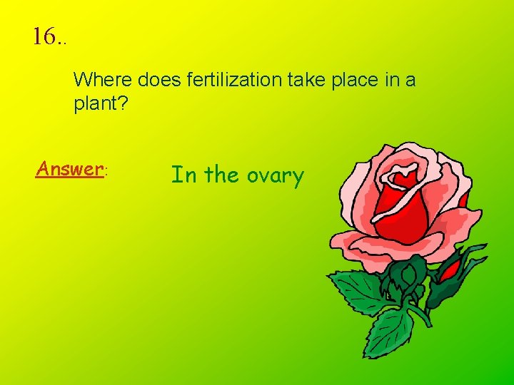 16. . Where does fertilization take place in a plant? Answer: In the ovary