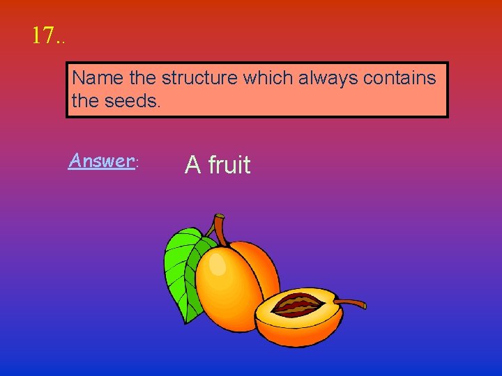 17. . Name the structure which always contains the seeds. Answer: A fruit 