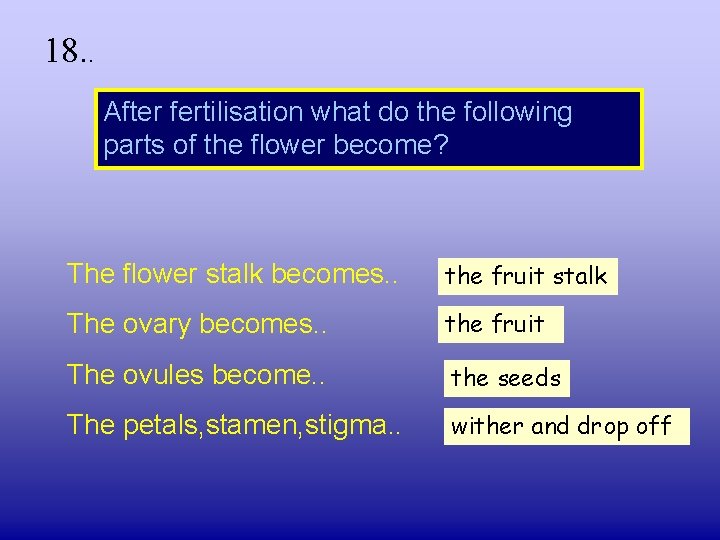 18. . After fertilisation what do the following parts of the flower become? The