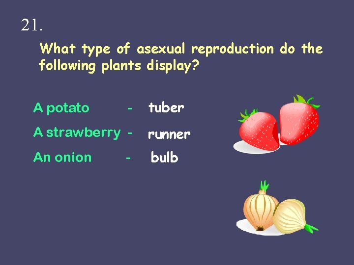 21. What type of asexual reproduction do the following plants display? A potato -