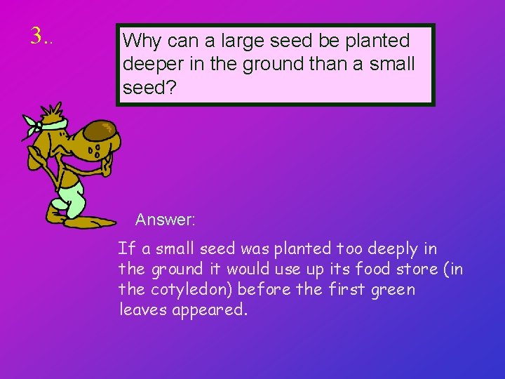 3. . Why can a large seed be planted deeper in the ground than