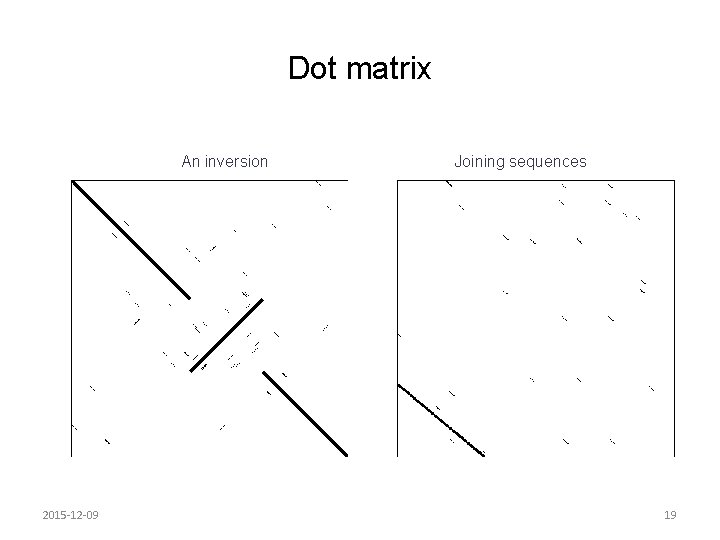 Dot matrix An inversion 2015 -12 -09 Joining sequences 19 Dot matrix An inversion 2015 -12 -09 Joining sequences 19