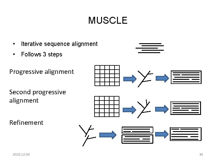 MUSCLE • Iterative sequence alignment • Follows 3 steps Progressive alignment Second progressive alignment MUSCLE • Iterative sequence alignment • Follows 3 steps Progressive alignment Second progressive alignment