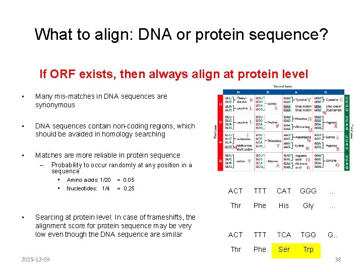 What to align: DNA or protein sequence? If ORF exists, then always align at What to align: DNA or protein sequence? If ORF exists, then always align at
