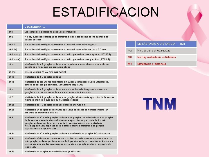 ESTADIFICACION Continuación…. . p. Nx Los ganglios regionales no pueden ser evaluados p. N