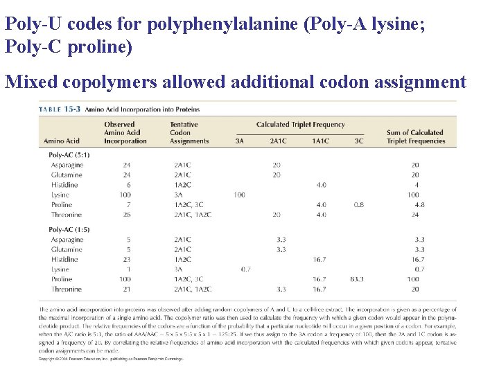 Poly-U codes for polyphenylalanine (Poly-A lysine; Poly-C proline) Mixed copolymers allowed additional codon assignment