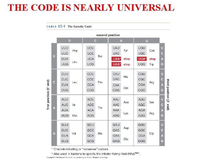 THE CODE IS NEARLY UNIVERSAL 