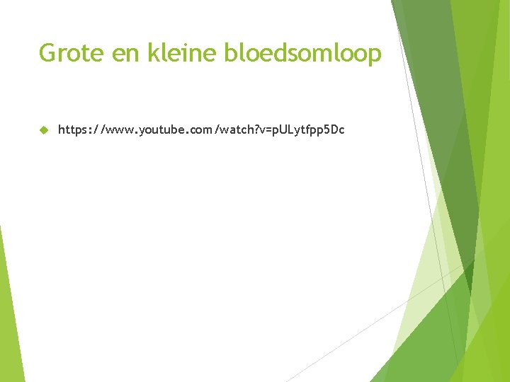 Grote en kleine bloedsomloop https: //www. youtube. com/watch? v=p. ULytfpp 5 Dc 