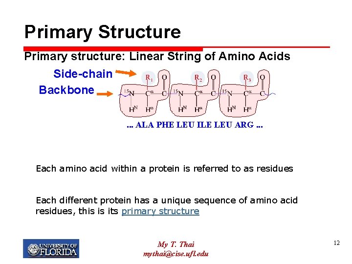 Primary Structure Primary structure: Linear String of Amino Acids Side-chain Backbone. . . ALA