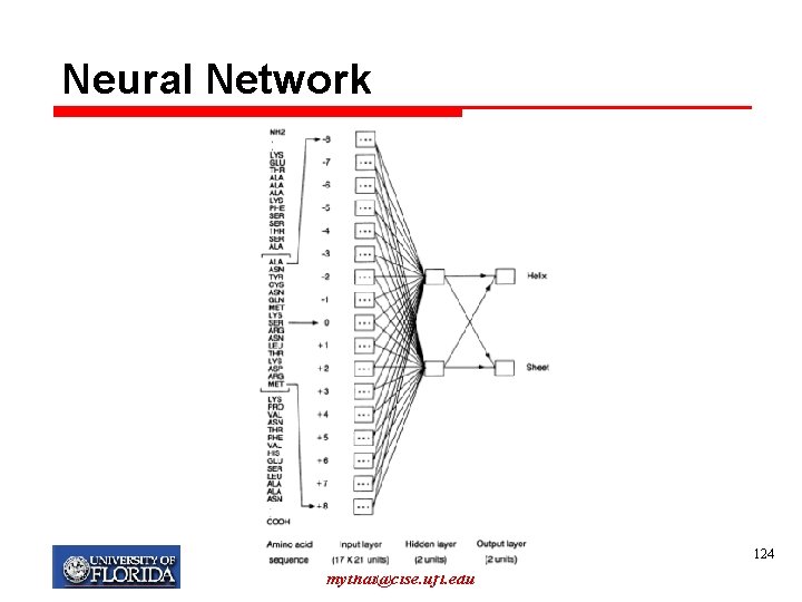 Neural Network My T. Thai mythai@cise. ufl. edu 124 