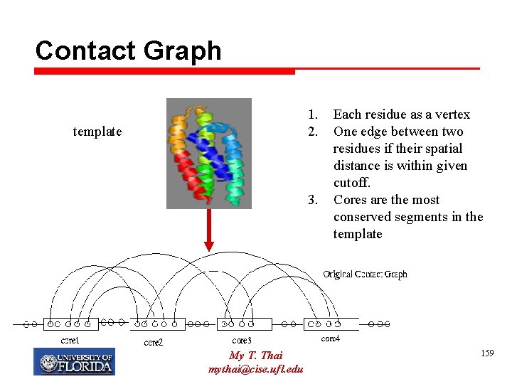 Contact Graph 1. 2. template 3. My T. Thai mythai@cise. ufl. edu Each residue