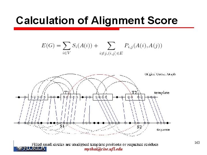 Calculation of Alignment Score My T. Thai mythai@cise. ufl. edu 163 