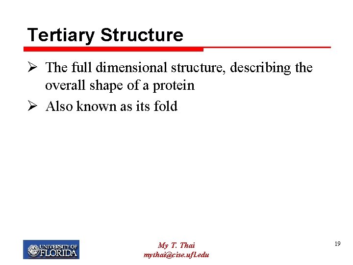 Tertiary Structure Ø The full dimensional structure, describing the overall shape of a protein