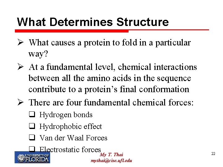 What Determines Structure Ø What causes a protein to fold in a particular way?