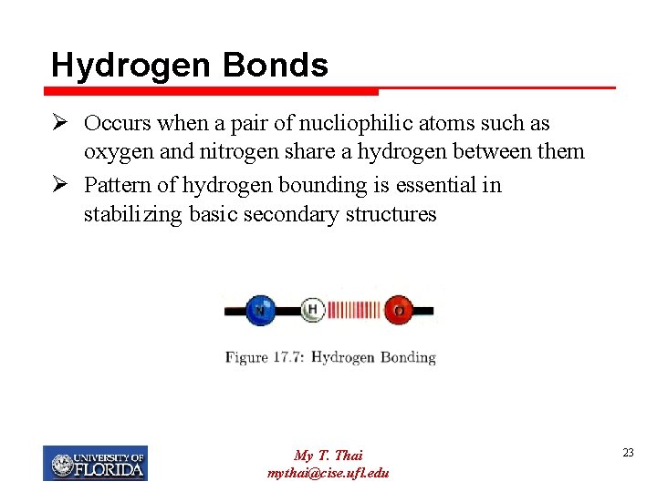 Hydrogen Bonds Ø Occurs when a pair of nucliophilic atoms such as oxygen and