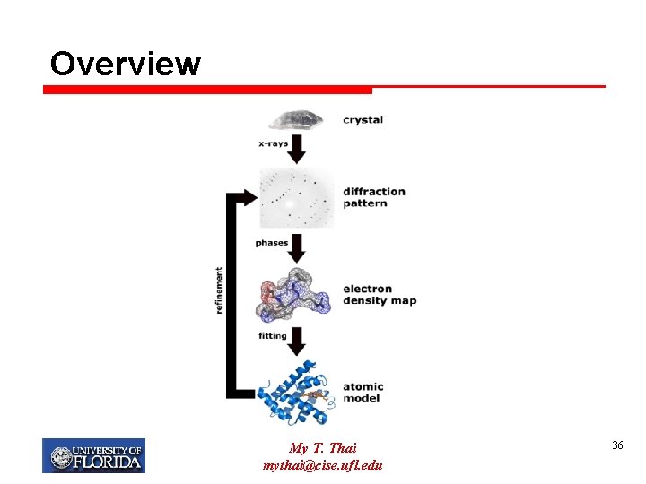 Overview My T. Thai mythai@cise. ufl. edu 36 